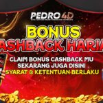 Situs Bonanza OVO Terbaik untuk Transaksi Online Aman dan Mudah