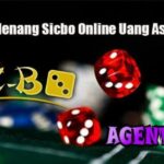 Bandar Sicbo XL Terpercaya dan Terbaik di Indonesia