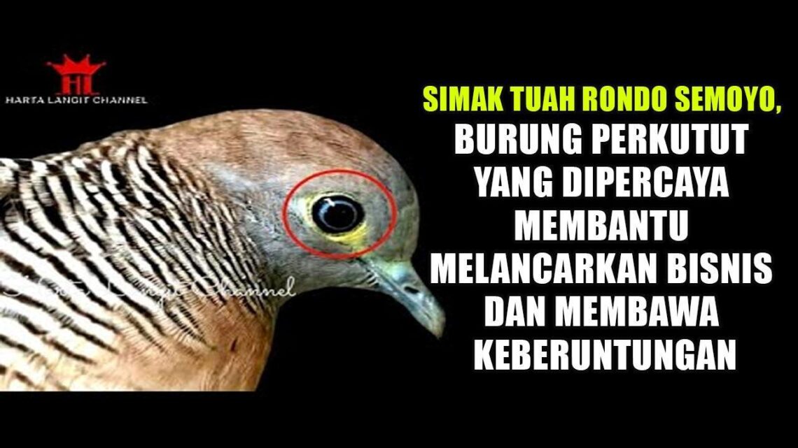 Rahasia Kesuksesan: Mengapa Hoki Dipercaya Membawa Keberuntungan