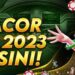 Agen Gacor Resmi Terbaik untuk Anda